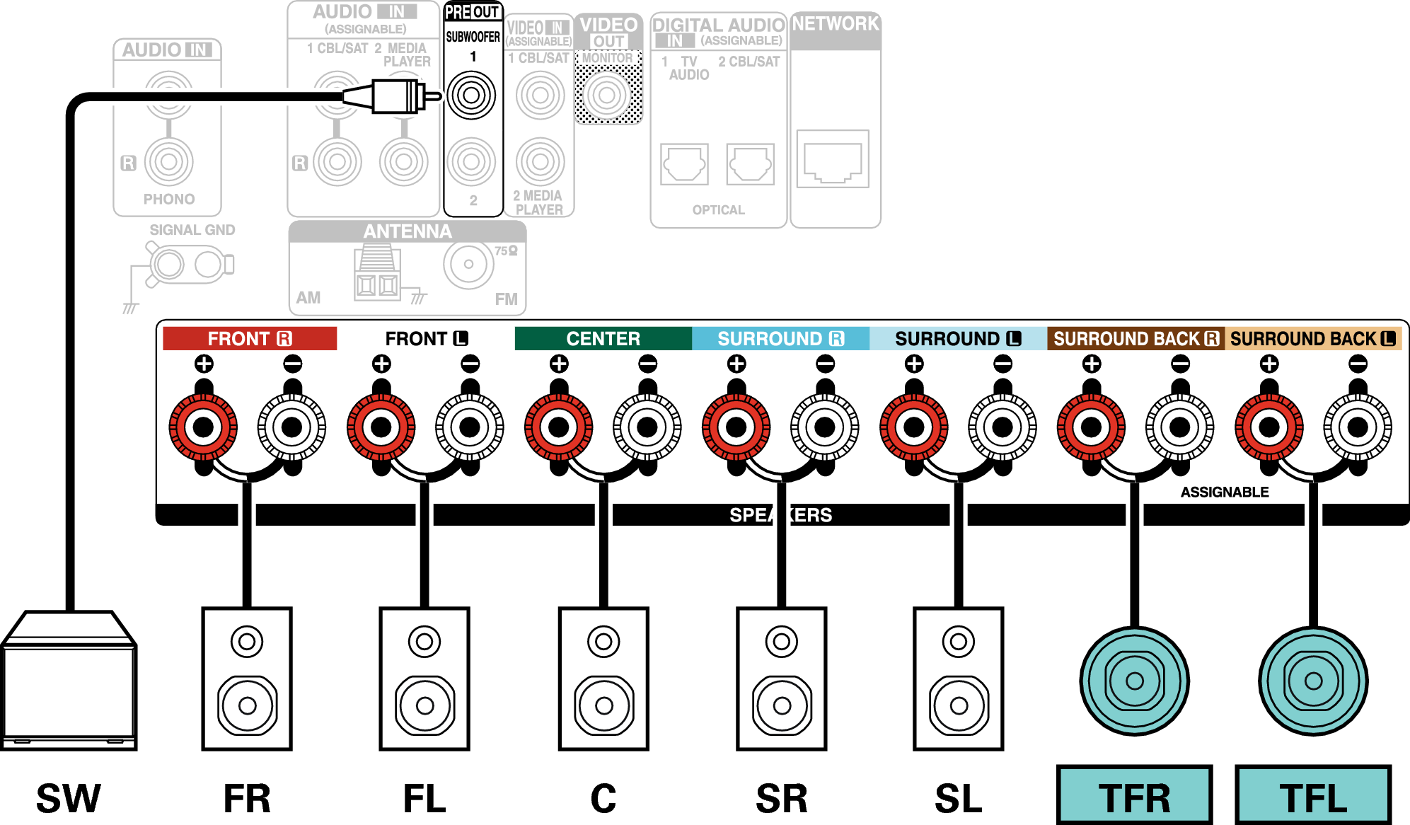 Conne SP 7.1 TF X17E2